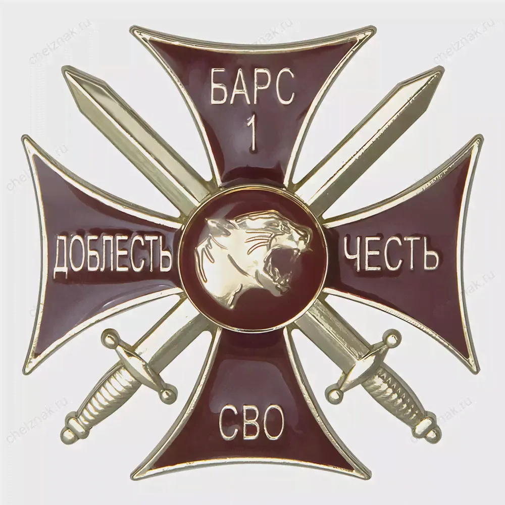 Медаль «Доброволец СВО из "Шторм Z"» с бланком удостоверения