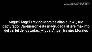 La trayectoria del Z-40 - Letra