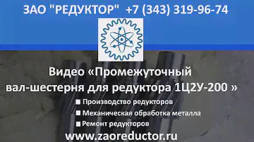 Промежуточный вал шестерня для редуктора 1Ц2У 200