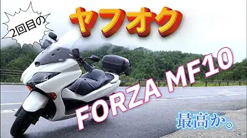 2回目のヤフオク購入！フォルツァMF10、最高か。