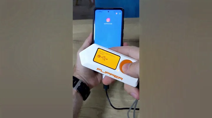 Flipper Zero vs App Locker