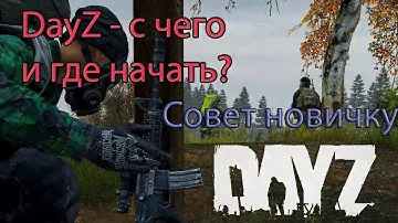 Как и где начать играть в Dayz в 2024 году. Сервер Тишина Городов. Советы новичкам и главные ошибки.