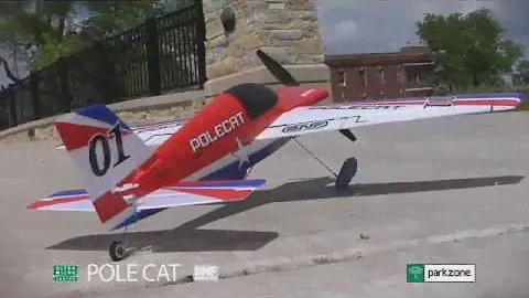 Ultra Micro Pole Cat BNF by ParkZone