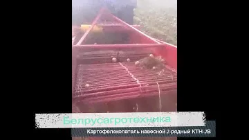 Картофелекопатель навесной 2-рядный КТН-2В