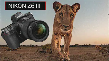 Nikon Z6 III VS Nikon Z8 Camera test Comparison