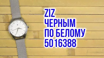Распаковка ZIZ Черным по белому 5016388