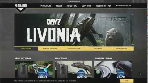 Как создать игровой сервер DAYZ для PS4